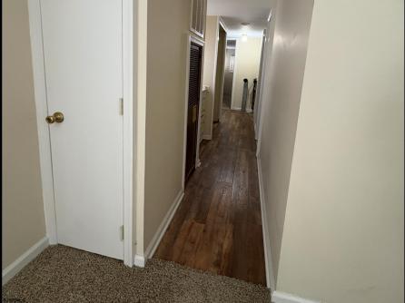 11 Silver, Little Egg Harbor, NJ, 08234 Aditional Picture