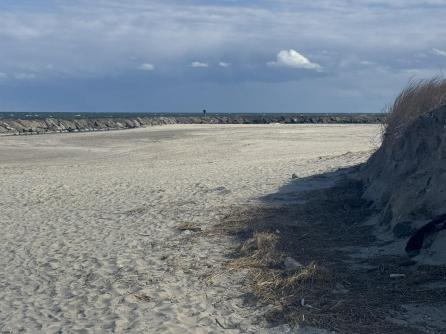 281 7th, Avalon Boro, NJ, 08202 Aditional Picture