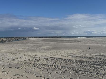 281 7th, Avalon Boro, NJ, 08202 Aditional Picture