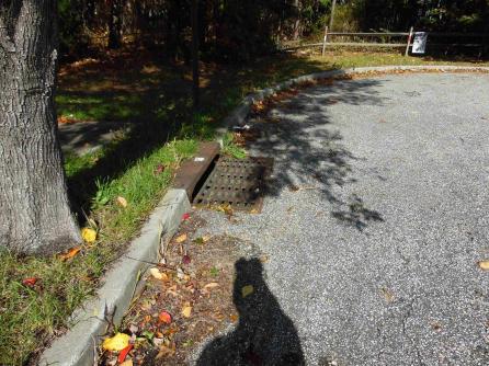 00 HOLLY, Galloway Township, NJ, 08205 Aditional Picture