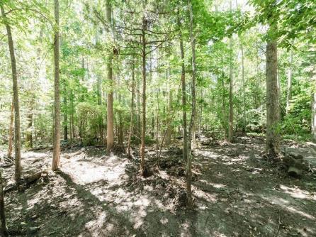 12 Vella La Vella Ln, Egg Harbor Township, NJ, 08234 Aditional Picture