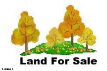 133 Georgia, Buena Vista Township, 08094